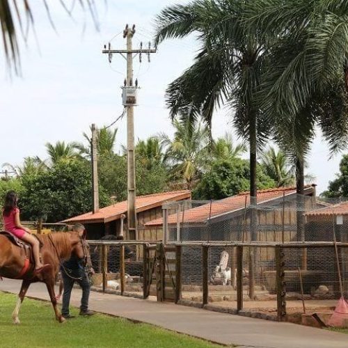 fazendinha carpe diem park hotel em olimpia sp thermas dos laranjais 2 5cfa997c84b46 1